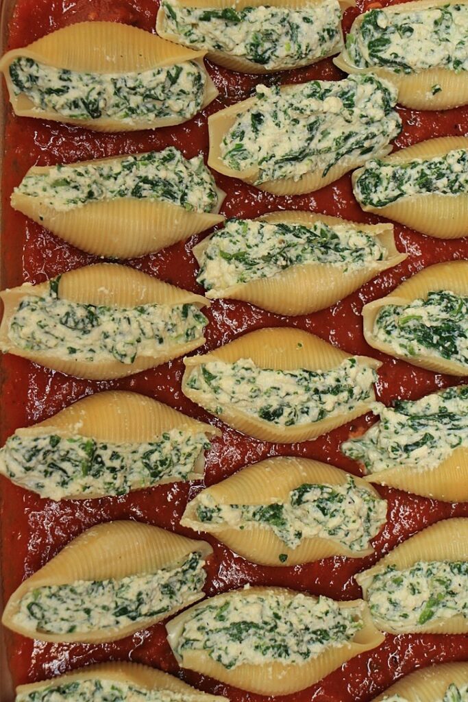 Filled pasta shells on top of sauce
