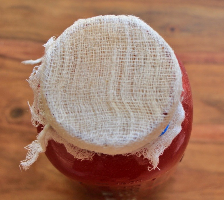 Cheese cloth on jar with probiotic drink