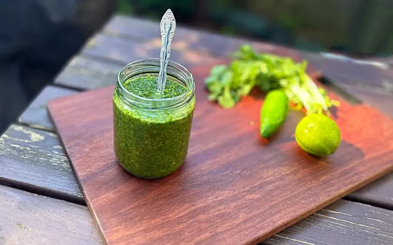 Coriander chutney